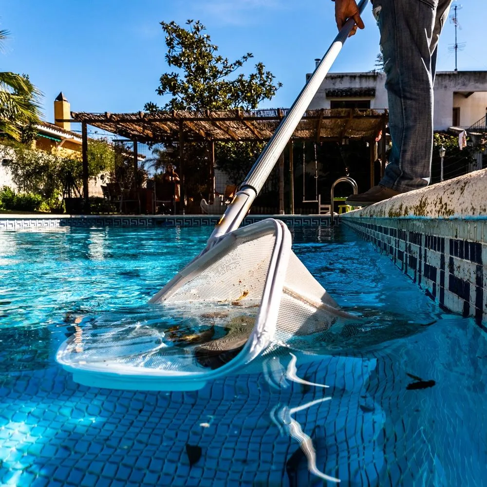 Technician testing pool water and cleaning skimmer during routine backyard service visit
