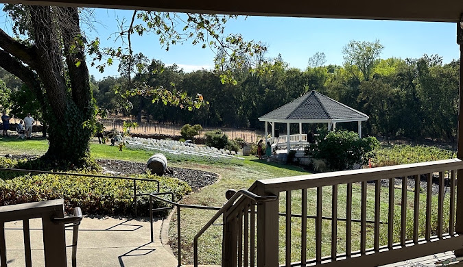 Pool Cleaning Service in Shingle Springs, CA